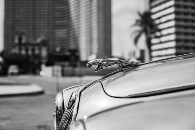 PocketWin Casino Aip Android/iOS