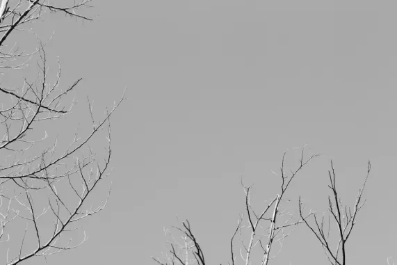 PocketWin Casino Tacaíocht